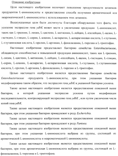 Способ получения l-аминокислоты с использованием бактерии, принадлежащей к роду escherichia (патент 2395579)
