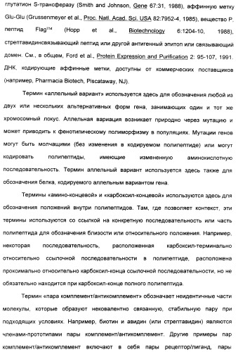 Выделенный полипептид, связывающий рецептор zalpha11-лиганда (варианты), кодирующий его полинуклеотид (варианты), вектор экспрессии (варианты) и клетка-хозяин (варианты) (патент 2346951)