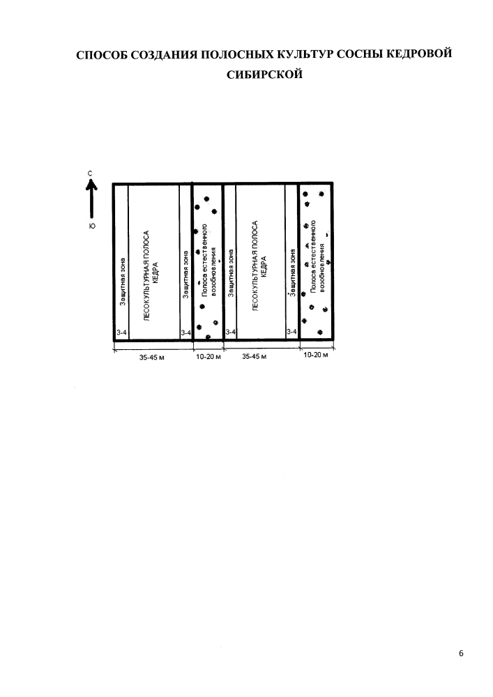 Способ создания полосных культур сосны кедровой сибирской (патент 2615003)