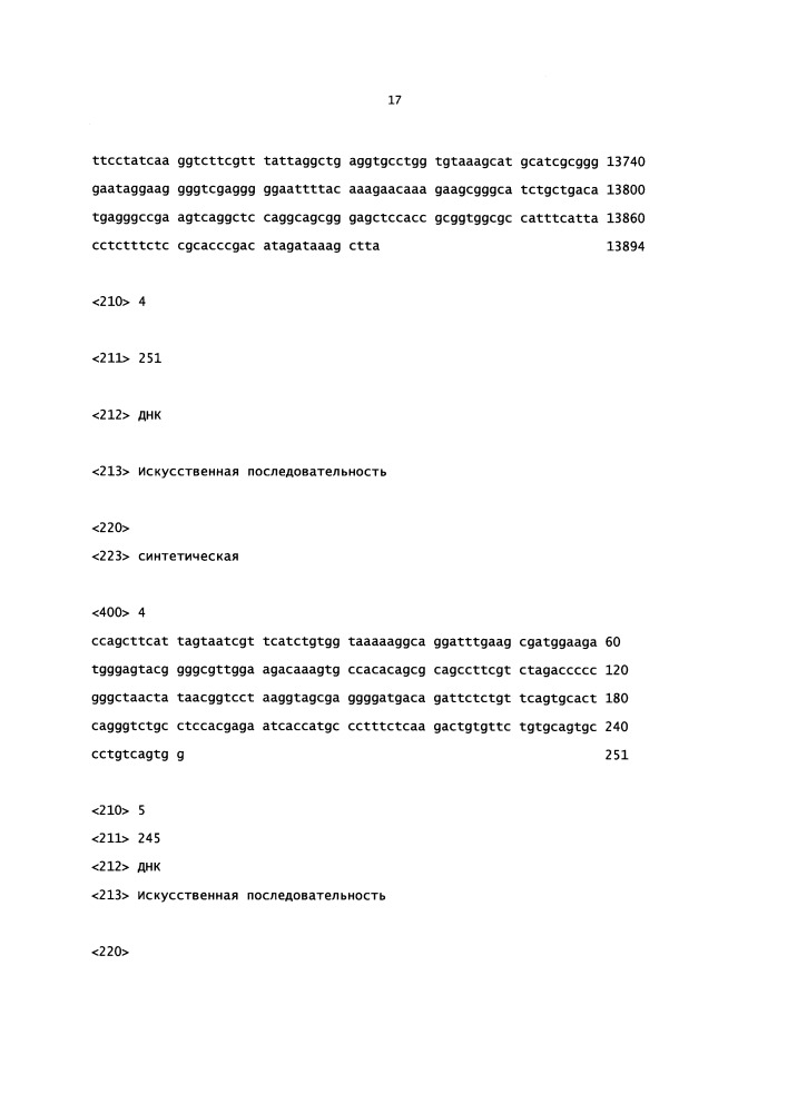 Мыши с гуманизированной универсальной легкой цепью (патент 2664232)