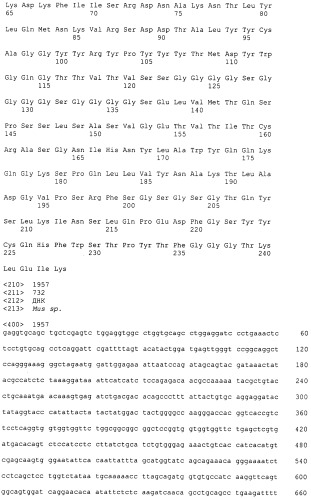 Pscaxcd3, cd19xcd3, c-metxcd3, эндосиалинxcd3, epcamxcd3, igf-1rxcd3 или fap-альфаxcd3 биспецифическое одноцепочечное антитело с межвидовой специфичностью (патент 2547600)