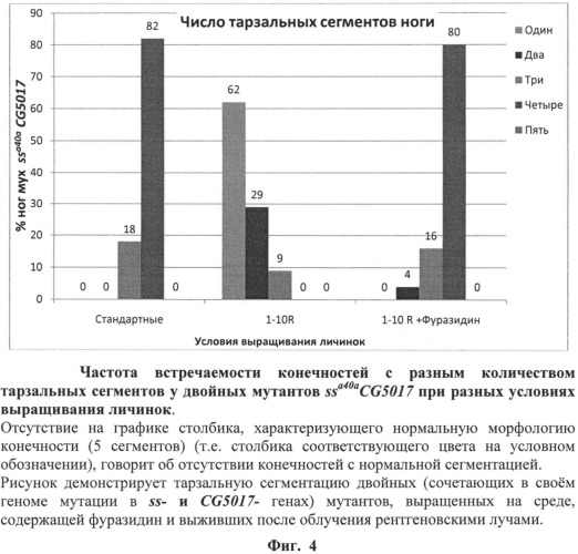 Способ оценки фармакологических и токсикологических свойств веществ - радио-, токсикопротекторов и радио-, токсикосенсибилизаторов (патент 2534822)