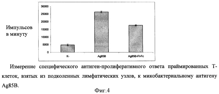 Способ получения рекомбинантной вакцины (патент 2444570)