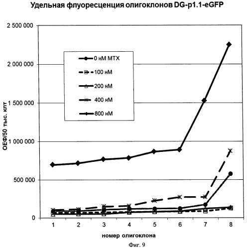 Экспрессионный плазмидный вектор для гетерологичной экспрессии рекомбинантных белков, высокочастотной интеграции и усиленной амплификации экспрессионной кассеты в клетках млекопитающих, бицистронная мрнк, способ получения стабильных линий продуцентов рекомбинантных белков с использованием указанного вектора, способ получения рекомбинантных белков (патент 2488633)