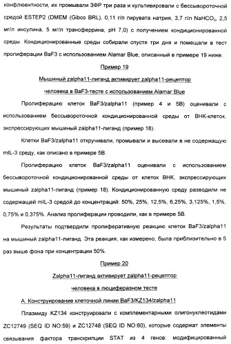 Выделенный полипептид, связывающий рецептор zalpha11-лиганда (варианты), кодирующий его полинуклеотид (варианты), вектор экспрессии (варианты) и клетка-хозяин (варианты) (патент 2346951)