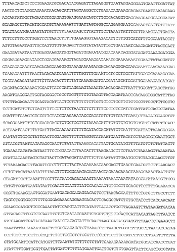 Применение s1p (патент 2362565)