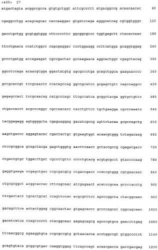 Гибридный инсектицидный белок, молекула нуклеиновой кислоты, кодирующая такой белок, трансгенные растения и их семена, содержащие такой белок, способ получения белка и его применение (патент 2497830)