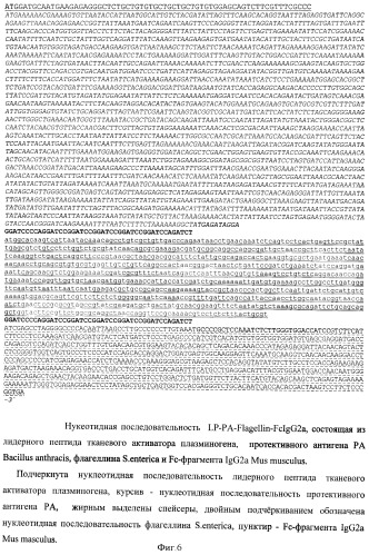 Способ получения рекомбинантной вакцины (патент 2444570)