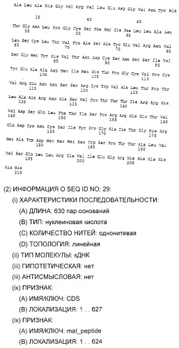 Очищенные белки оболочки вируса гепатита с для диагностического и терапевтического применения (патент 2313363)