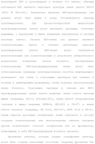 Слитые белки альбумина (патент 2369404)