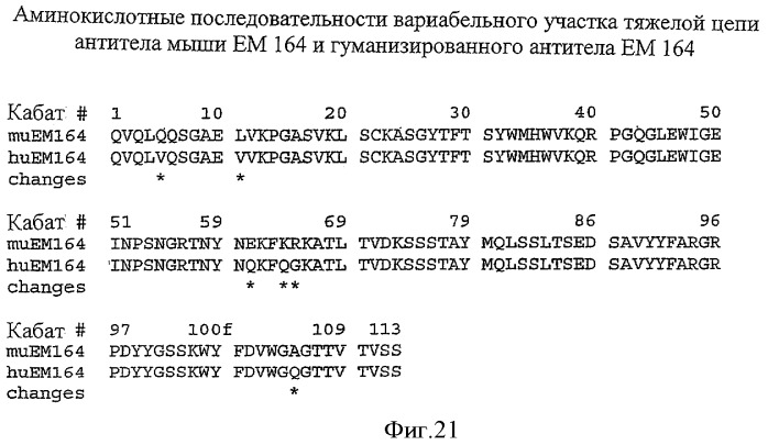 Антитела к рецептору igf-i (патент 2421465)