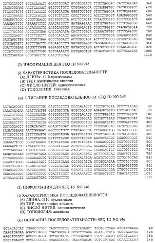 Гемопоэтический белок (варианты), последовательность днк, способ получения гемопоэтического белка, способ селективной экспансии кроветворных клеток, способ продуцирования дендритных клеток, способ стимуляции продуцирования кроветворных клеток у пациента, фармацевтическая композиция, способ лечения (патент 2245887)