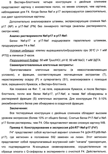 Вакцина для предупреждения и лечения вич-инфекции (патент 2441878)