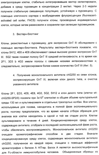 Гликозилированные антитела (варианты), обладающие повышенной антителозависимой клеточной цитотоксичностью (патент 2321630)