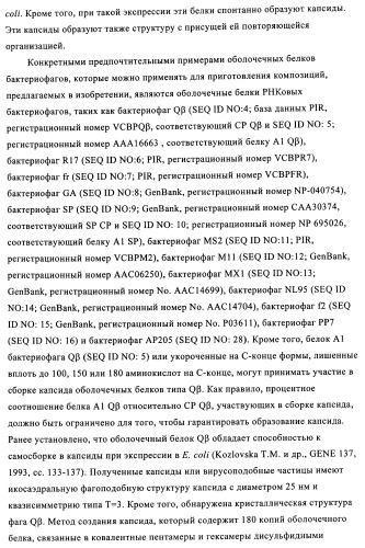 Композиции вакцин, содержащие наборы антигенов в виде амилоида бета 1-6 (патент 2450827)