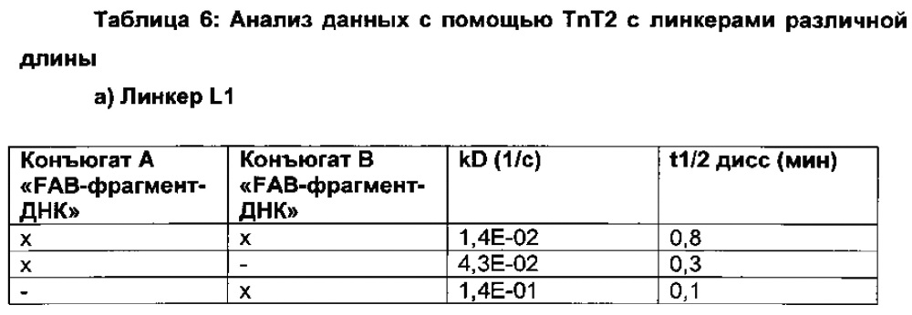 Способ отбора и получения селективных и мультиспецифических терапевтических молекул с заданными свойствами, включающих по меньшей мере две различные нацеливающие группировки, и их применения (патент 2644263)