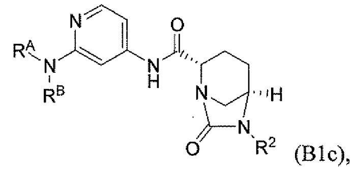 Ингибиторы бета-лактамаз (патент 2445314)