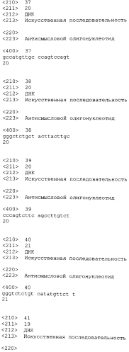 Лечение сиртуин 1 (sirt1)-связанных заболеваний путем ингибирования натурального антисмыслового транскрипта (патент 2551234)