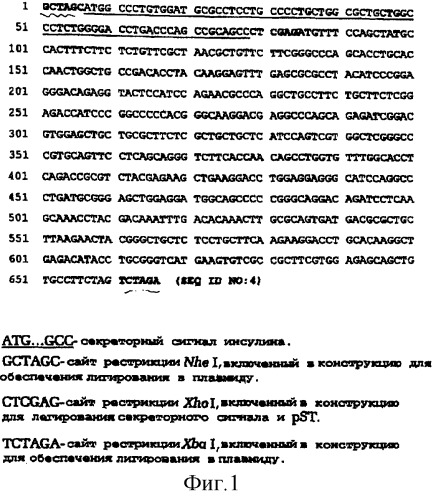 Капсула для имплантации и способ введения соматотропина свинье (патент 2268940)