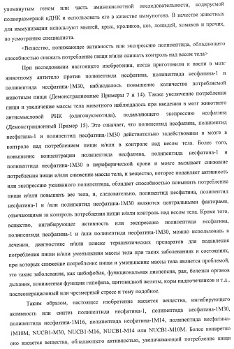 Способ получения фактора, связанного с контролем над потреблением пищи и/или массой тела, полипептид, обладающий активностью подавления потребления пищи и/или прибавления в весе, молекула нуклеиновой кислоты, кодирующая полипептид, способы и применение полипептида (патент 2418002)