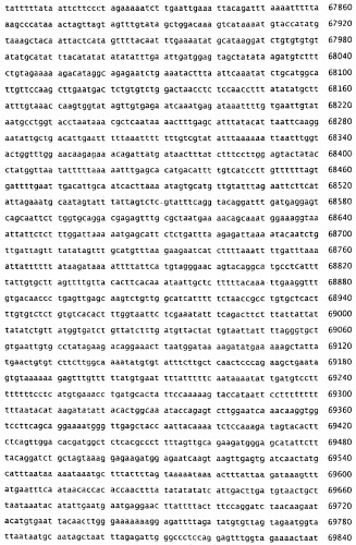 Применение s1p (патент 2362565)