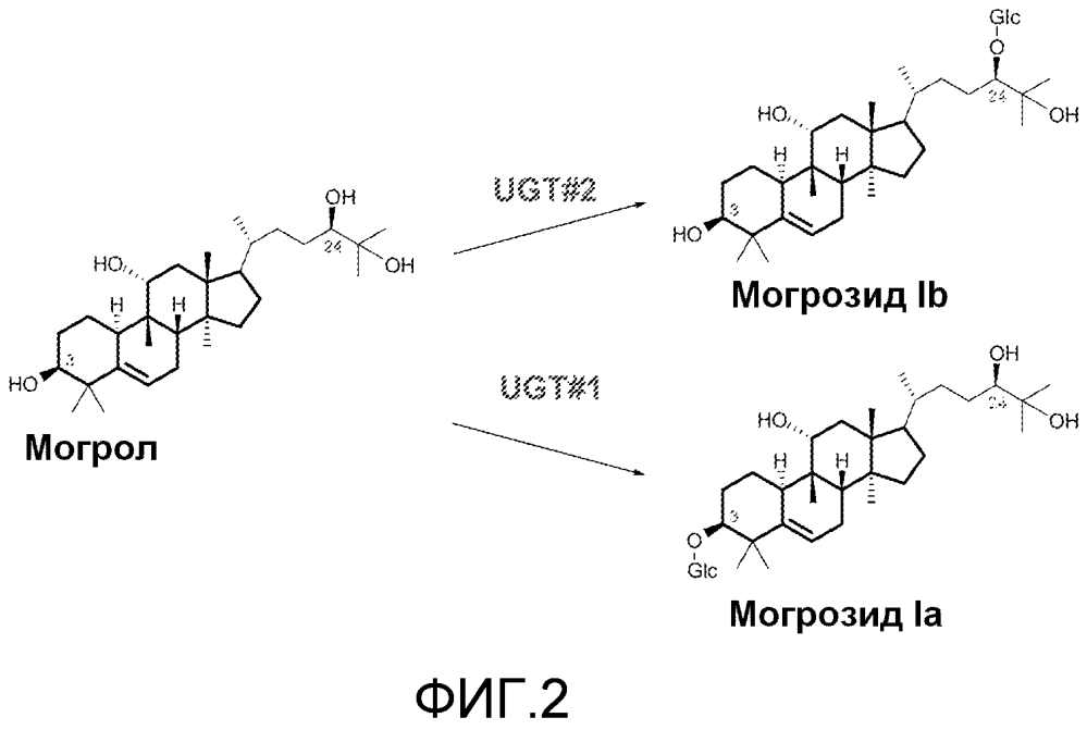 Способы ферментативного синтеза могрозидных соединений (патент 2633644)