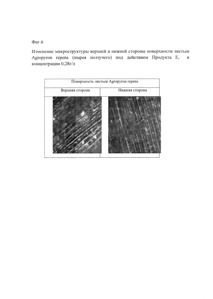 Гербицид на основе аддуктов фуллеренов (патент 2596031)