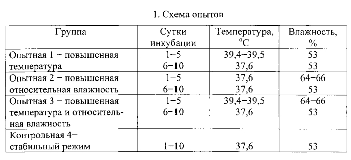 Способ инкубации яиц сельскохозяйственной птицы (патент 2588265)