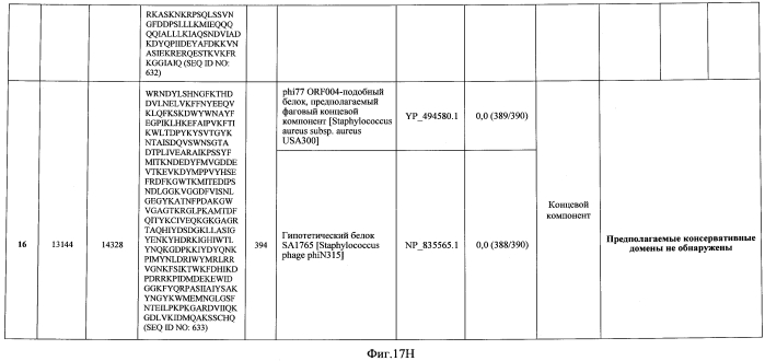 Бактериофаг, обладающий активностью против pseudomonas aeruginosa, белки бактериофага и способы их применения (патент 2580248)