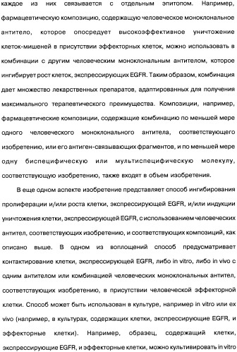 Человеческие моноклональные антитела к рецептору эпидермального фактора роста (egfr), способ их получения и их использование, гибридома, трансфектома, трансгенное животное, экспрессионный вектор (патент 2335507)