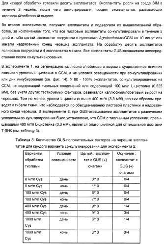 Улучшенная трансформация сои (патент 2389797)