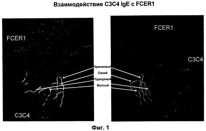 Вакцина против пептида ch3 ige (патент 2495049)