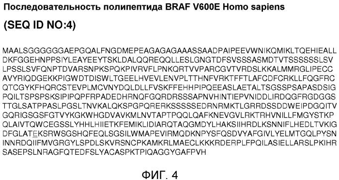 Мутации braf, обеспечивающие резистентность к ингибиторам braf (патент 2571930)