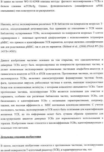 Экспонирование т-клеточных рецепторов (патент 2346004)