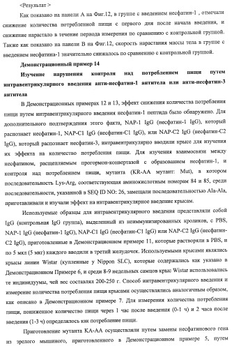 Способ получения фактора, связанного с контролем над потреблением пищи и/или массой тела, полипептид, обладающий активностью подавления потребления пищи и/или прибавления в весе, молекула нуклеиновой кислоты, кодирующая полипептид, способы и применение полипептида (патент 2418002)