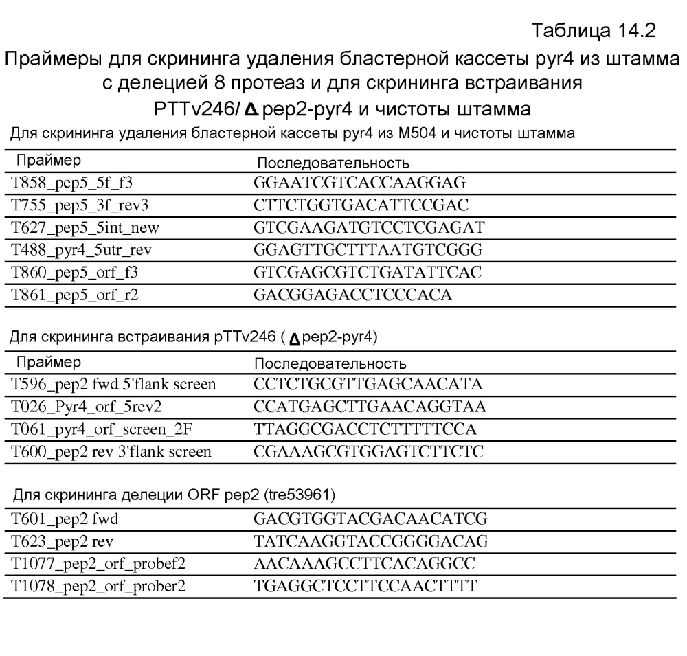 Клетка нитчатых грибов с дефицитом протеаз и способы ее применения (патент 2645252)