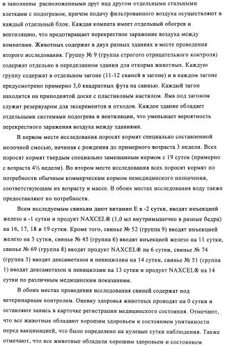 Поливалентные иммуногенные композиции pcv2 и способы получения таких композиций (патент 2488407)