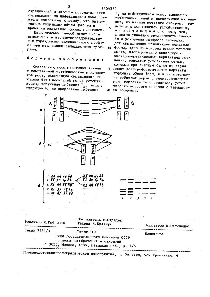 Способ создания генотипов ячменя с комплексной устойчивостью к мучнистой росе (патент 1454322)