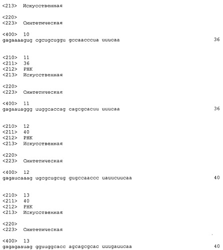 Одноцепочечная кольцевая рнк и способ ее получения (патент 2523596)