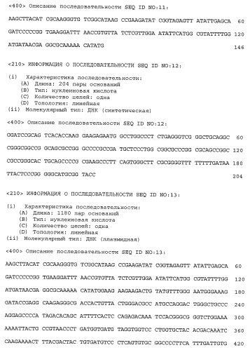 Рекомбинантный полипептид со свойствами плазминогена человека превращаться при активации в плазмин, который катализирует расщепление фибрина, фрагмент днк, кодирующий полипептид, рекомбинантная плазмидная днк для экспрессии полипептида и трансформированная клетка escherichia coli - продуцент полипептида (патент 2432397)