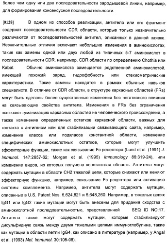 Антитела против интерлейкина-13 человека и их применение (патент 2427589)