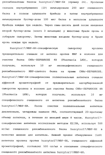 Новый лиганд рецептора цитокина zcytor17 (патент 2360923)