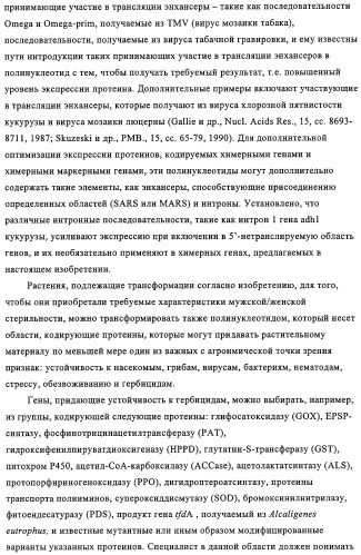Способ избирательного получения растений с мужской или женской стерильностью (патент 2320722)