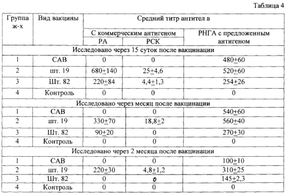 Способ получения антигена для определения противобруцеллезного иммунитета (патент 2627897)