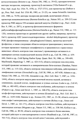 Способы и композиции для экспрессии антисмысловой вирусной рнк в клетках собаки (патент 2457250)