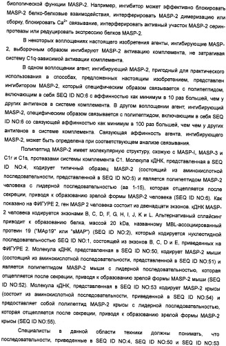 Способ лечения заболеваний, связанных с masp-2-зависимой активацией комплемента (варианты) (патент 2484097)