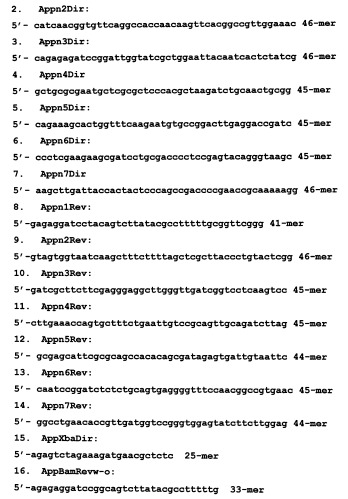Рекомбинантная плазмидная днк pgem-puro-ds-apo, содержащая синтетический ген апоптина, фланкированный последовательностями генома вируса осповакцины из района c10l-c12l, и рекомбинантный штамм vvdgf-apos24/2 вируса осповакцины, продуцирующий апоптин (патент 2492238)