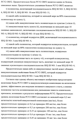 Поливалентные иммуногенные композиции pcv2 и способы получения таких композиций (патент 2488407)