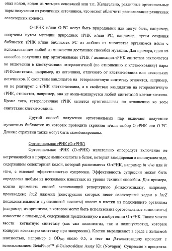Система экспрессии компонентов ортогональной трансляции в эубактериальной клетке-хозяине (патент 2467069)