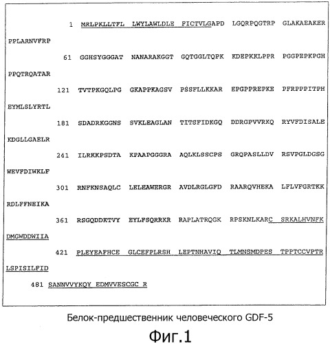 Оптимизированный способ очистки рекомбинантного белка фактора роста (патент 2491290)